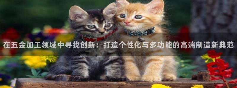 云顶国际是什么软件
