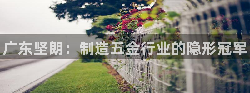 云顶国际软件