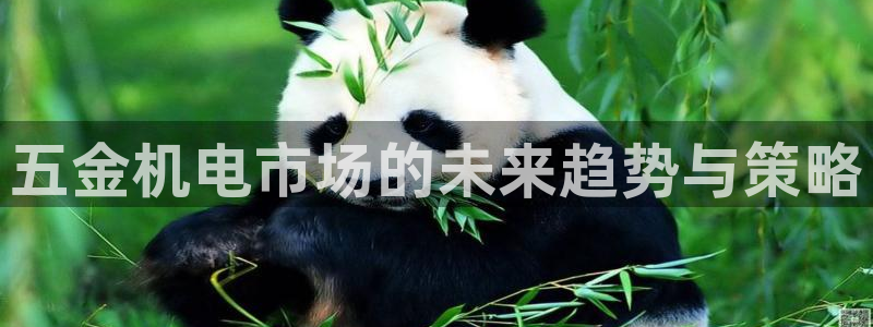 云顶国际部一年学费
