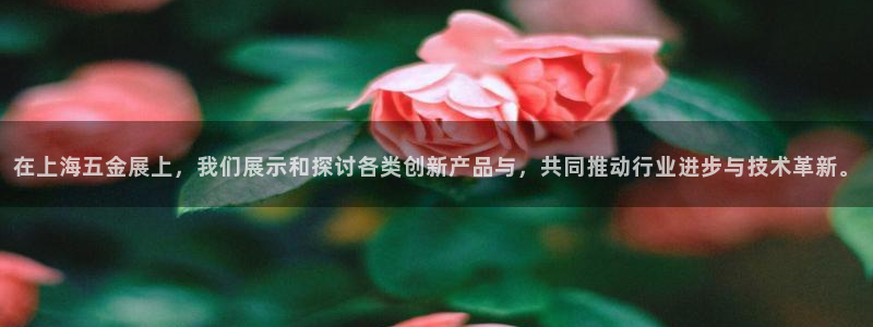 云顶国际在线登录