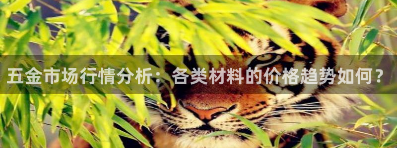 云顶国际服维护时间