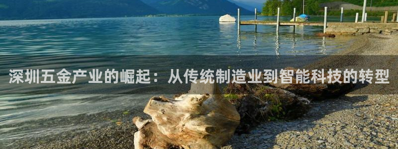 云顶国际商业广场 停车