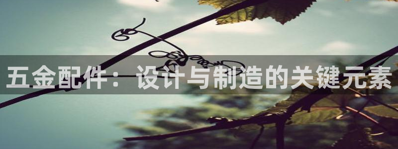 云顶国际不出款