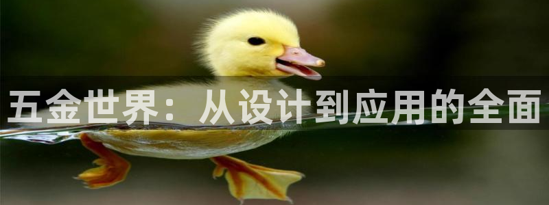 云顶国际服怎么选服务器
