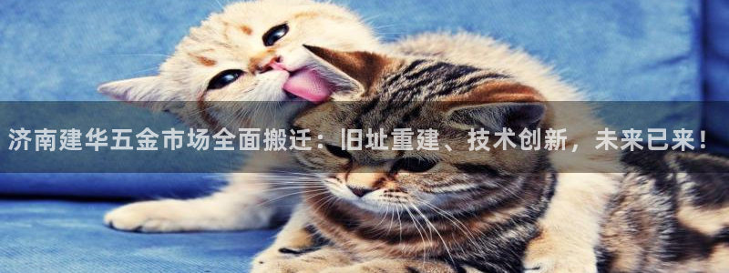 云顶电子游戏网站