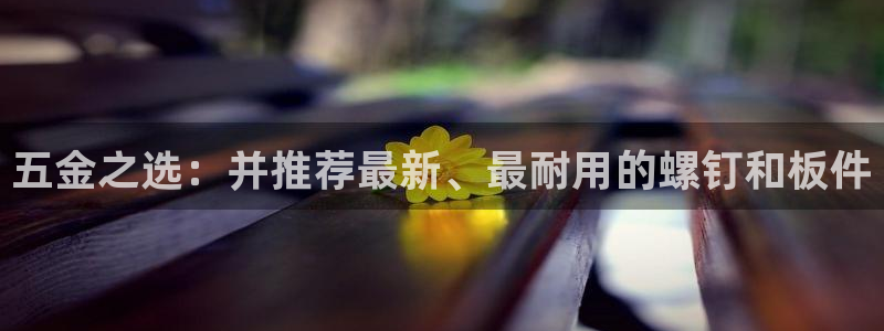 云顶国际是什么公司