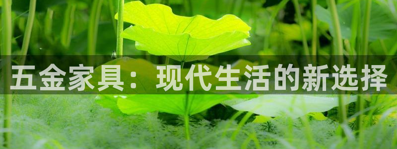 云顶国际俱乐部 淮北