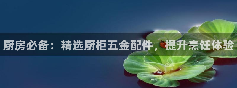 云顶国际是什么软件