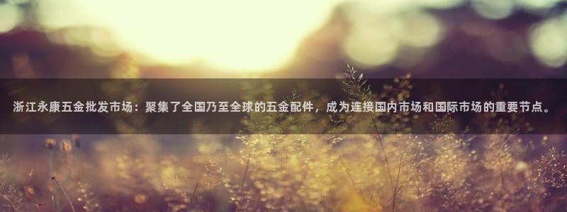 云顶集团王天才简介