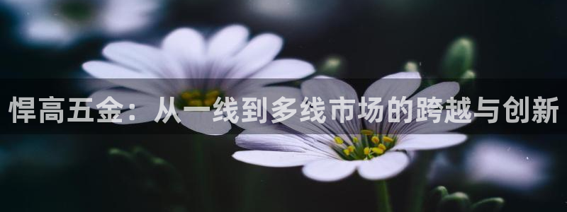 云顶国际太原店