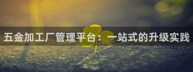 云顶手游国际版