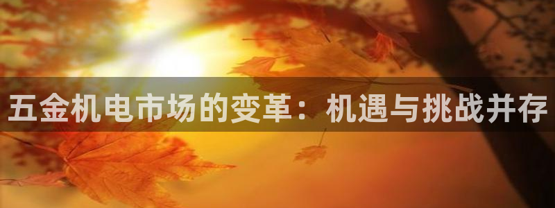 云顶集团app
