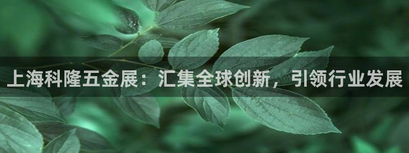 云顶集团有限公司官网