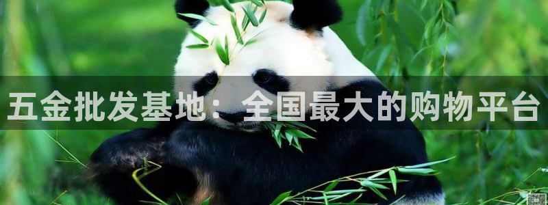 云顶集团app免费下载苹果