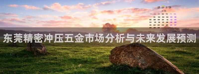 云顶国际大酒店老板