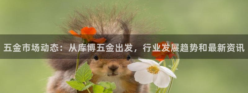 云顶国际足球app下载