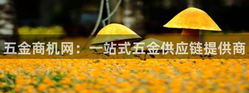 太原云顶国际酒店坐几路公交车