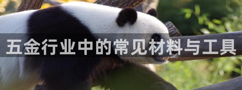 云顶国际服更新公告