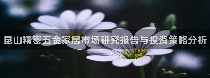 云顶国际商业广场a座101楼