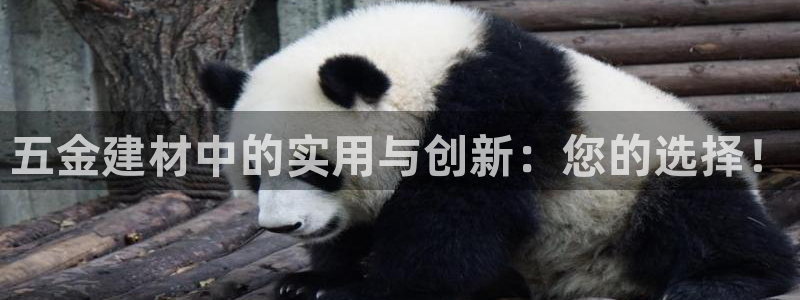 云顶集团老板是谁