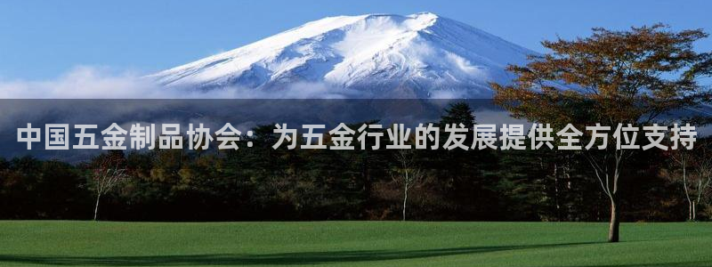 云顶集团app免费下载安装