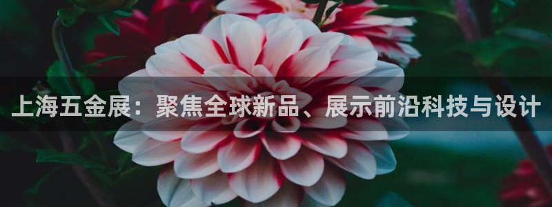 云顶电竞app怎么样