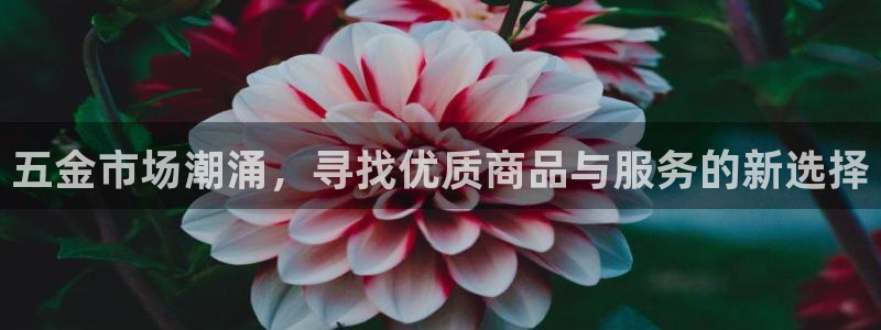 云顶国际俱乐部