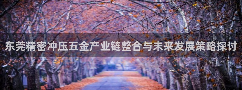 云顶国际投资有限公司