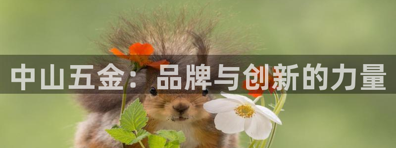 云顶国际平台为什么提现不了