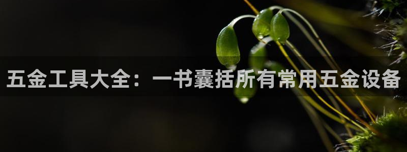 云顶集团有限公司简介概况