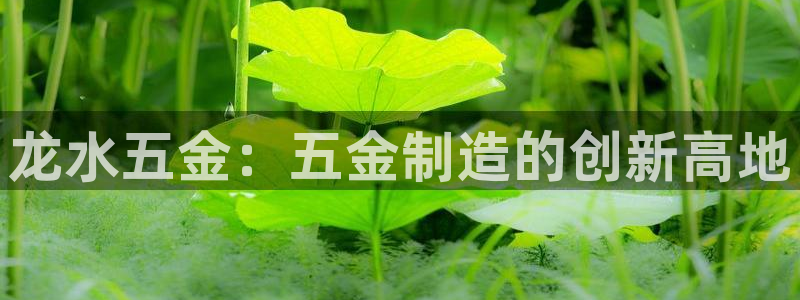 云顶国际服更新了吗