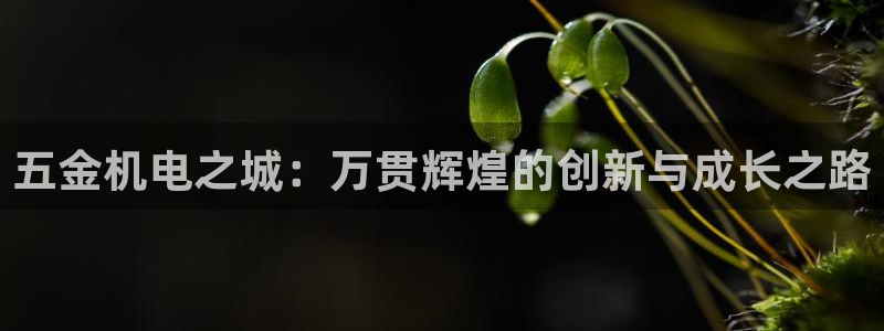 云顶国际属于哪个社区