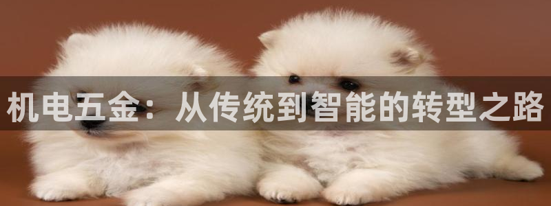 云顶集团董事长林东简历图片