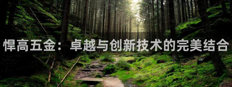 云顶集团董事长林东