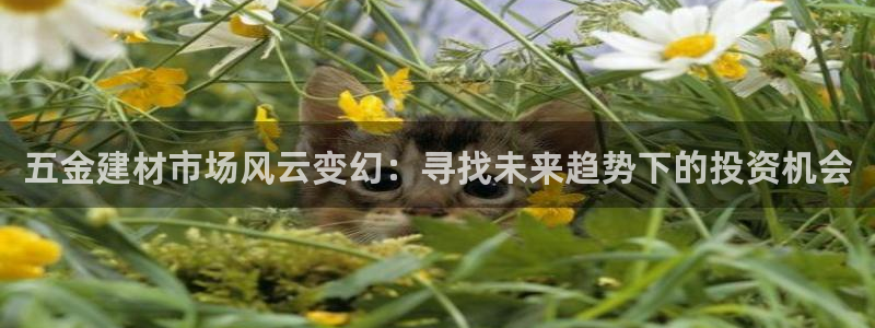 云顶国际婚礼大酒店位于哪里