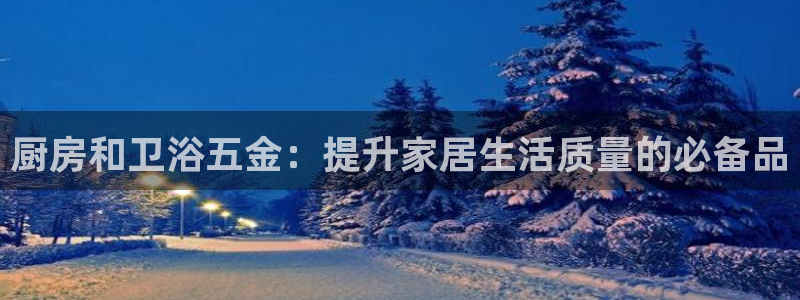 云顶国际服下载